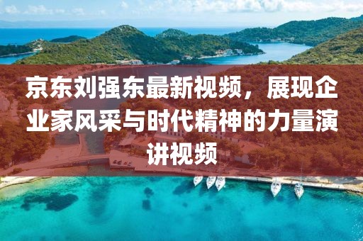 京东刘强东最新视频，展现企业家风采与时代精神的力量演讲视频