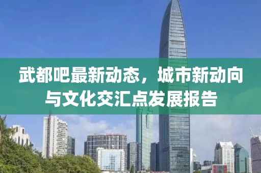 武都吧最新动态，城市新动向与文化交汇点发展报告