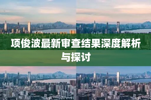 项俊波最新审查结果深度解析与探讨