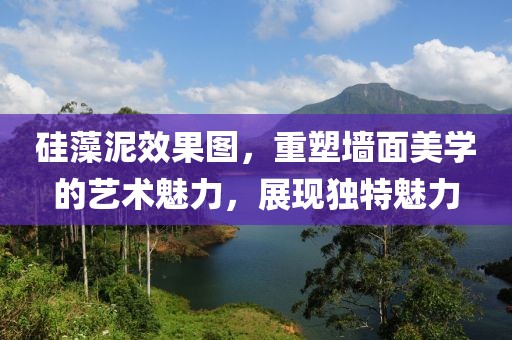 硅藻泥效果图，重塑墙面美学的艺术魅力，展现独特魅力