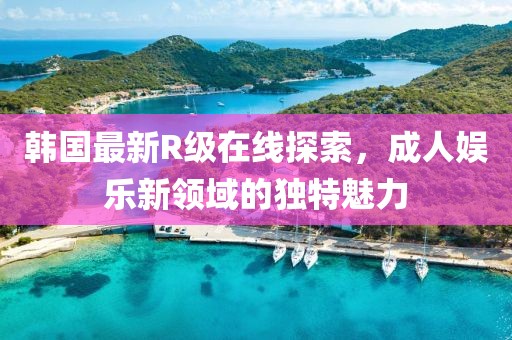 韩国最新R级在线探索，成人娱乐新领域的独特魅力