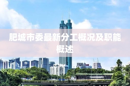 肥城市委最新分工概况及职能概述