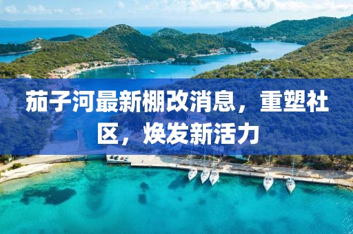 茄子河最新棚改消息，重塑社区，焕发新活力