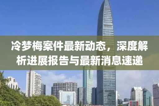 冷梦梅案件最新动态，深度解析进展报告与最新消息速递