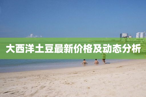 大西洋土豆最新价格及动态分析