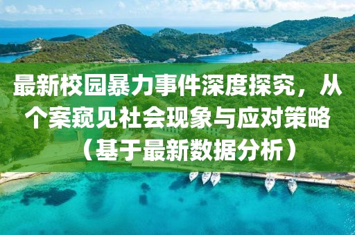最新校园暴力事件深度探究，从个案窥见社会现象与应对策略（基于最新数据分析）