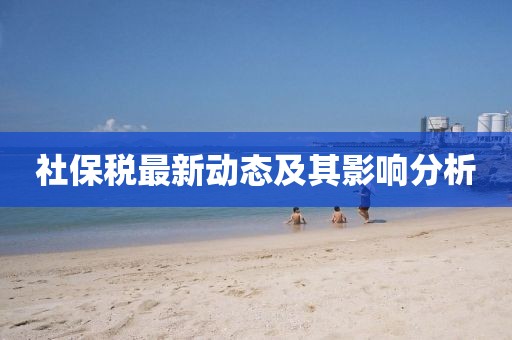 社保税最新动态及其影响分析