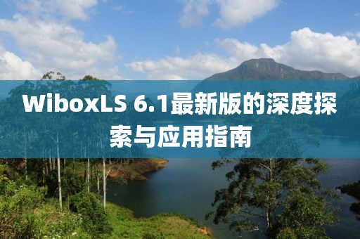 WiboxLS 6.1最新版的深度探索与应用指南