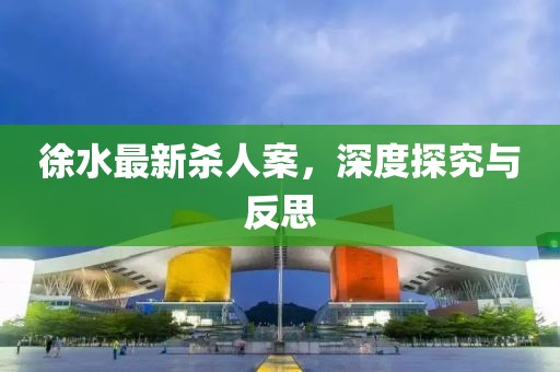 徐水最新杀人案，深度探究与反思