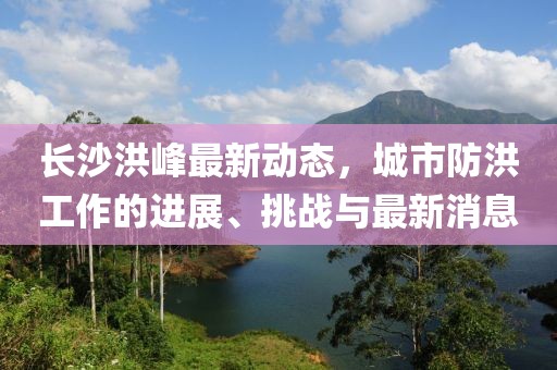 长沙洪峰最新动态，城市防洪工作的进展、挑战与最新消息