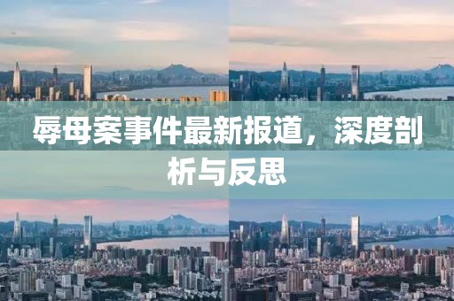 辱母案事件最新报道，深度剖析与反思