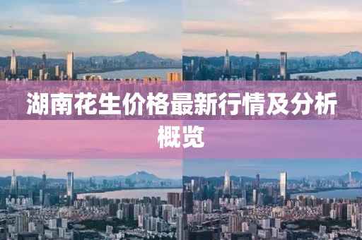 湖南花生价格最新行情及分析概览