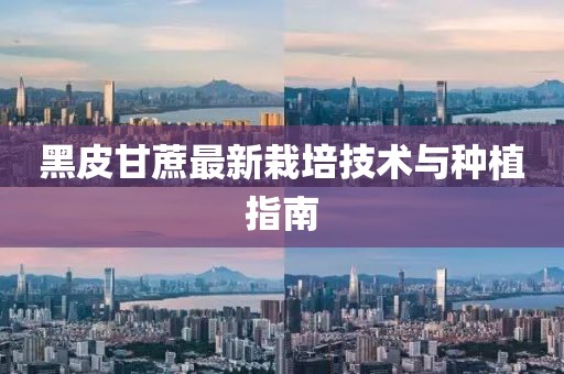 黑皮甘蔗最新栽培技术与种植指南
