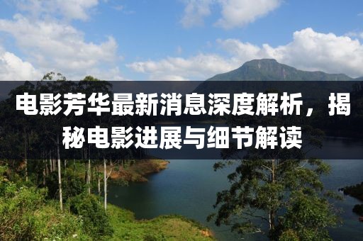 电影芳华最新消息深度解析，揭秘电影进展与细节解读