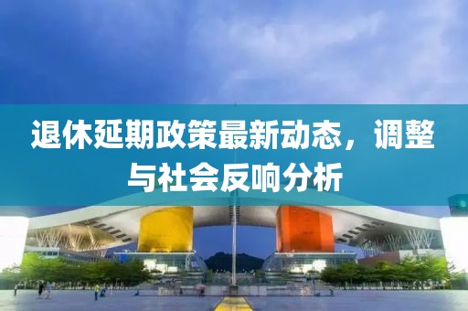 退休延期政策最新动态，调整与社会反响分析