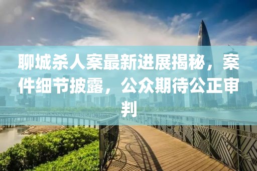 聊城杀人案最新进展揭秘，案件细节披露，公众期待公正审判