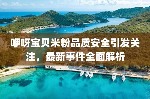 咿呀宝贝米粉品质安全引发关注，最新事件全面解析