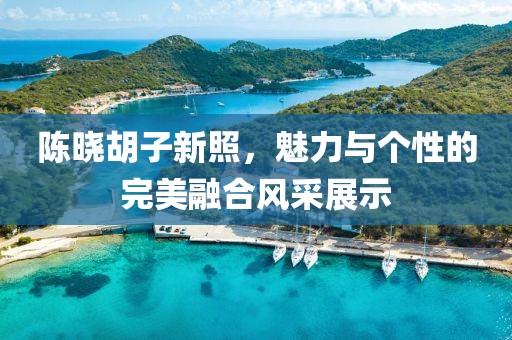 陈晓胡子新照，魅力与个性的完美融合风采展示