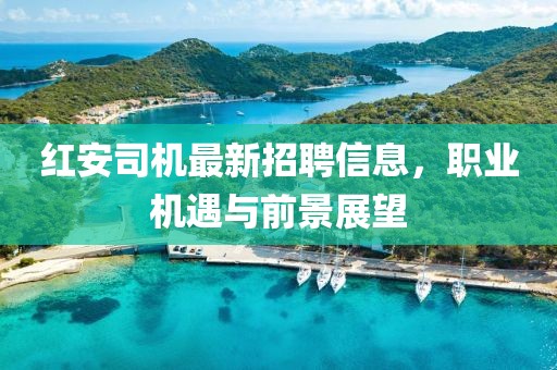红安司机最新招聘信息，职业机遇与前景展望