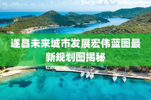 2025年6月5日 第5页