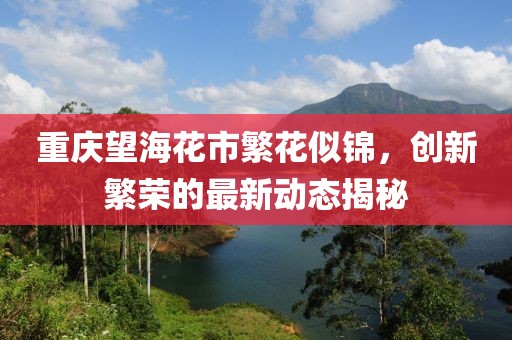 重庆望海花市繁花似锦，创新繁荣的最新动态揭秘
