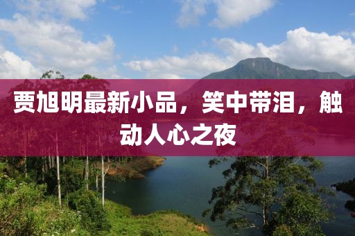 贾旭明最新小品，笑中带泪，触动人心之夜