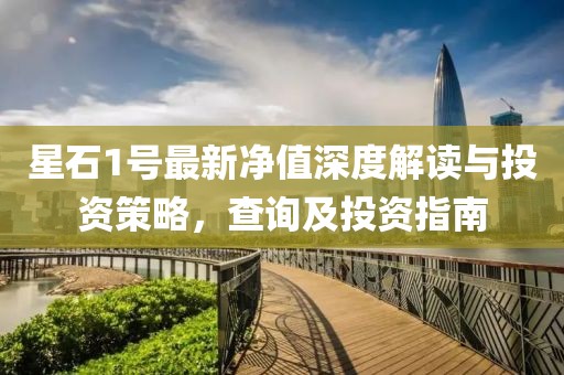 星石1号最新净值深度解读与投资策略，查询及投资指南