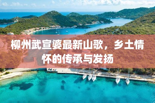 柳州武宣婆最新山歌，乡土情怀的传承与发扬