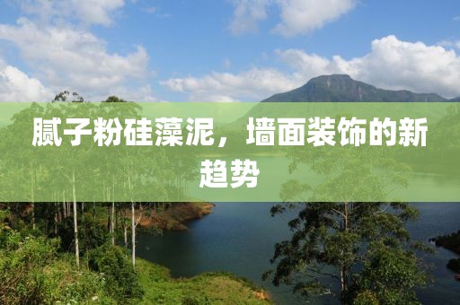 腻子粉硅藻泥，墙面装饰的新趋势