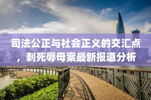 司法公正与社会正义的交汇点，刺死辱母案最新报道分析