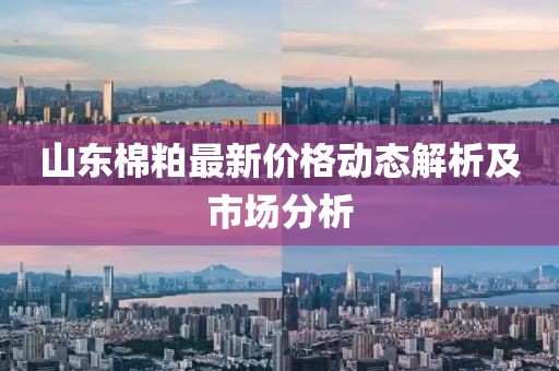 山东棉粕最新价格动态解析及市场分析