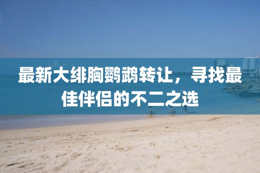 最新大绯胸鹦鹉转让，寻找最佳伴侣的不二之选