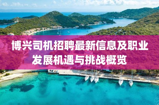 博兴司机招聘最新信息及职业发展机遇与挑战概览
