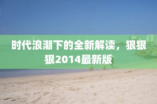 时代浪潮下的全新解读，狠狠狠2014最新版
