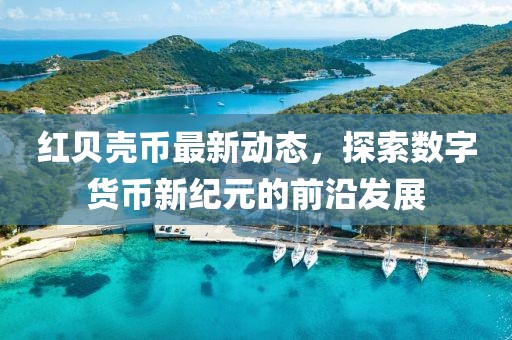 红贝壳币最新动态，探索数字货币新纪元的前沿发展