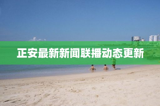 正安最新新闻联播动态更新