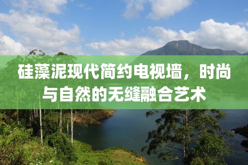 硅藻泥现代简约电视墙，时尚与自然的无缝融合艺术