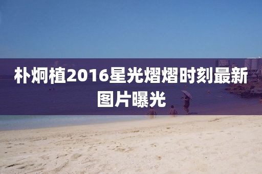 朴炯植2016星光熠熠时刻最新图片曝光