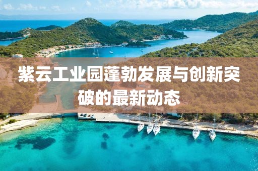 紫云工业园蓬勃发展与创新突破的最新动态
