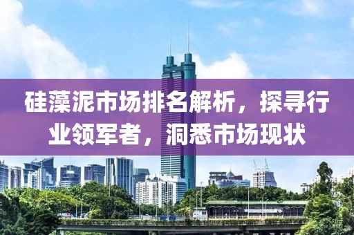硅藻泥市场排名解析，探寻行业领军者，洞悉市场现状