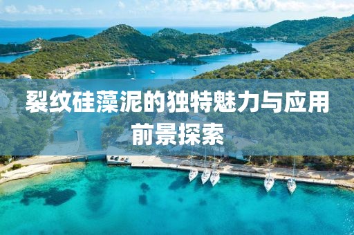 裂纹硅藻泥的独特魅力与应用前景探索