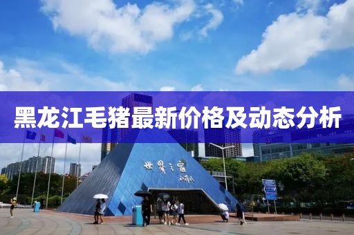黑龙江毛猪最新价格及动态分析