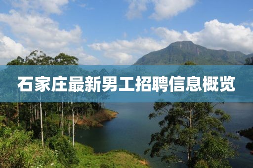石家庄最新男工招聘信息概览