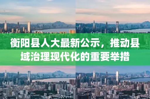 衡阳县人大最新公示，推动县域治理现代化的重要举措