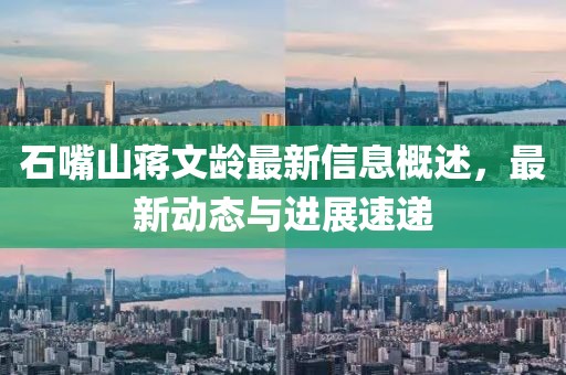 石嘴山蒋文龄最新信息概述，最新动态与进展速递