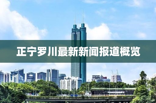 正宁罗川最新新闻报道概览