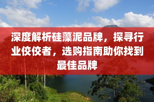深度解析硅藻泥品牌，探寻行业佼佼者，选购指南助你找到最佳品牌