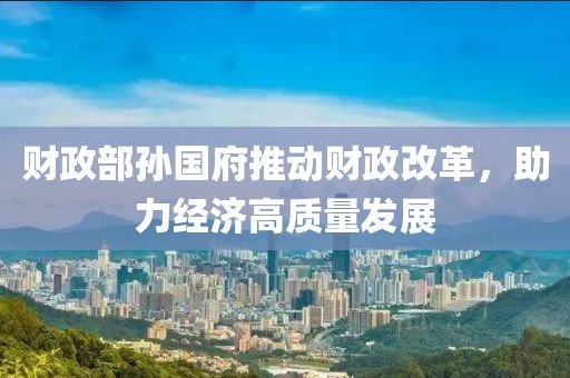 财政部孙国府推动财政改革，助力经济高质量发展