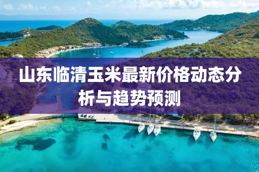 山东临清玉米最新价格动态分析与趋势预测