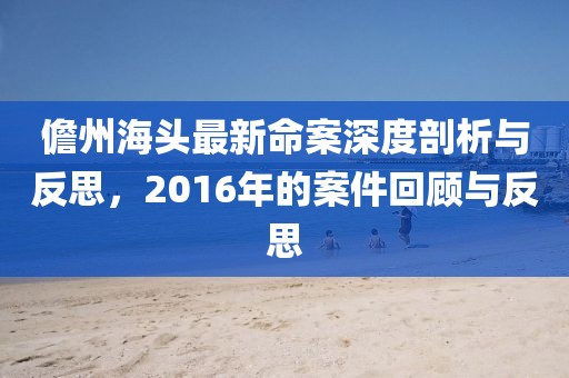 儋州海头最新命案深度剖析与反思，2016年的案件回顾与反思